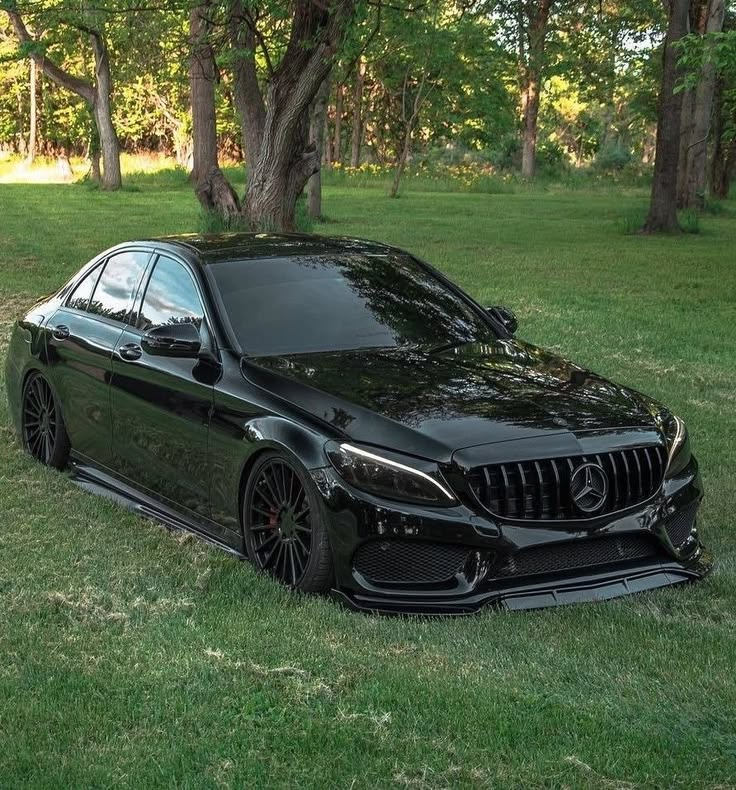 Чёрный Mercedes на зелёной лужайке